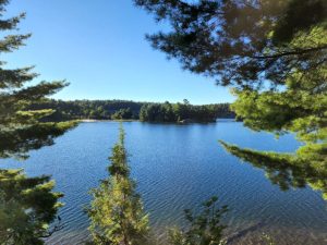 Lakeview from hill