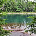 Green water and shore