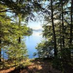 View up the lake from a hill